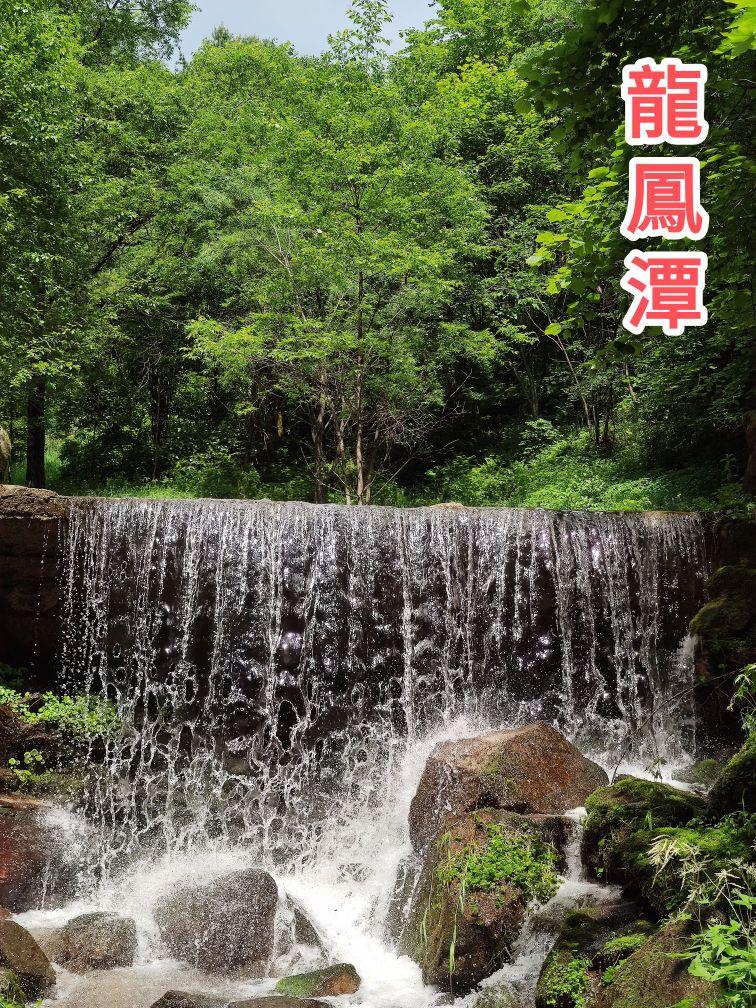 金顶山 - 星际高球联盟-中国精英人士高尔夫旅游度假实景