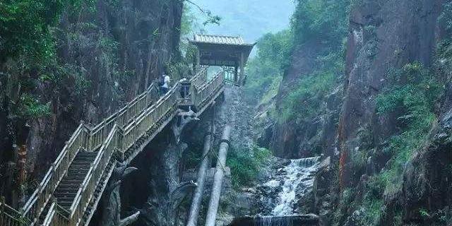 兰花谷 - 星际高球联盟-中国精英人士高尔夫旅游度假实景