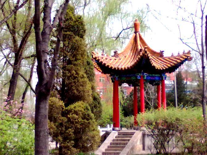 北坛公园 - 星际高球联盟-中国精英人士高尔夫旅游度假实景
