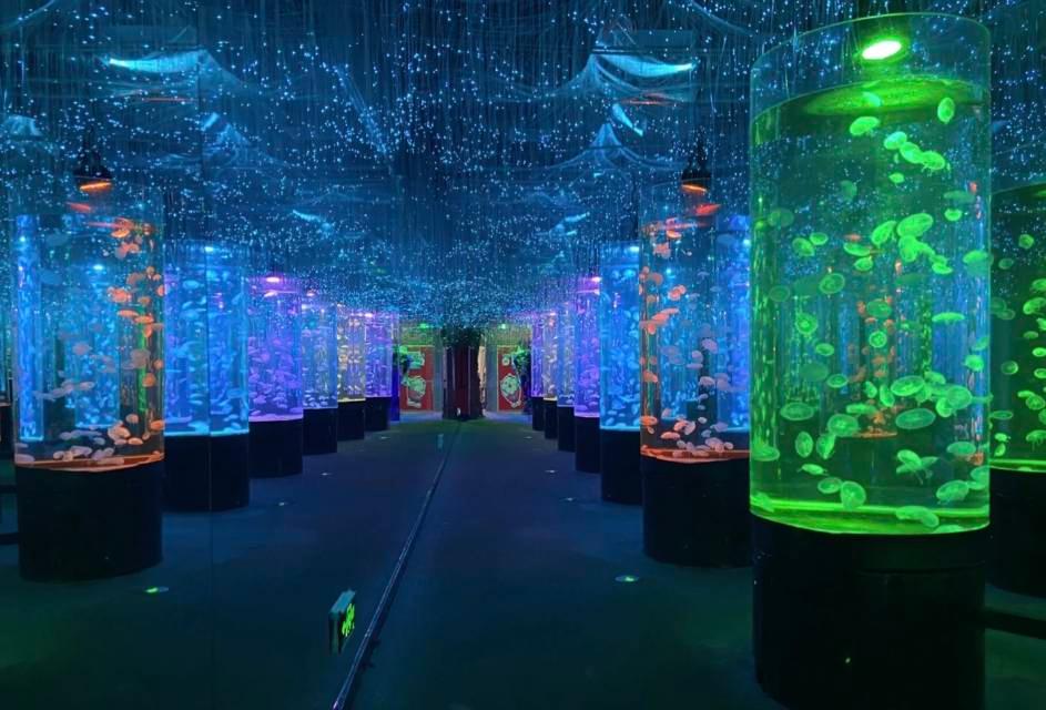 万泰海洋公园(万泰奥特莱斯购物公园店) - 星际高球联盟-中国精英人士高尔夫旅游度假实景
