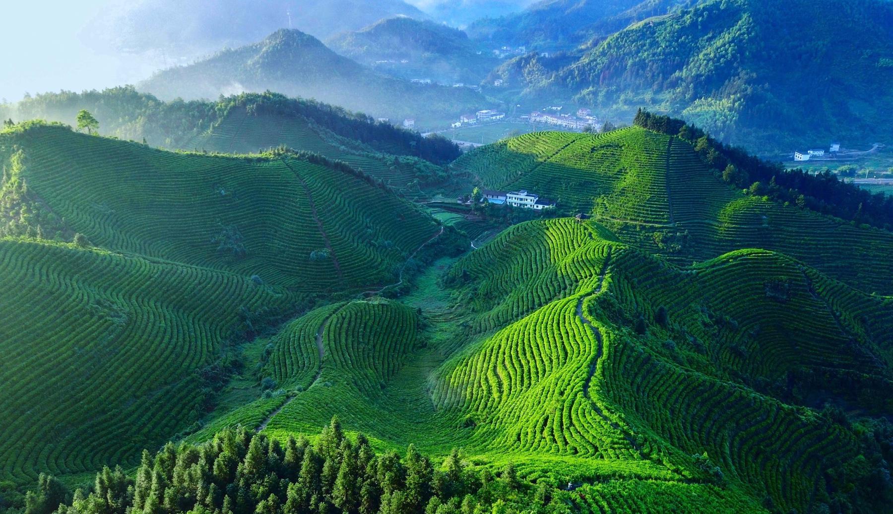 白水仙风景区 - 星际高球联盟-中国精英人士高尔夫旅游度假实景