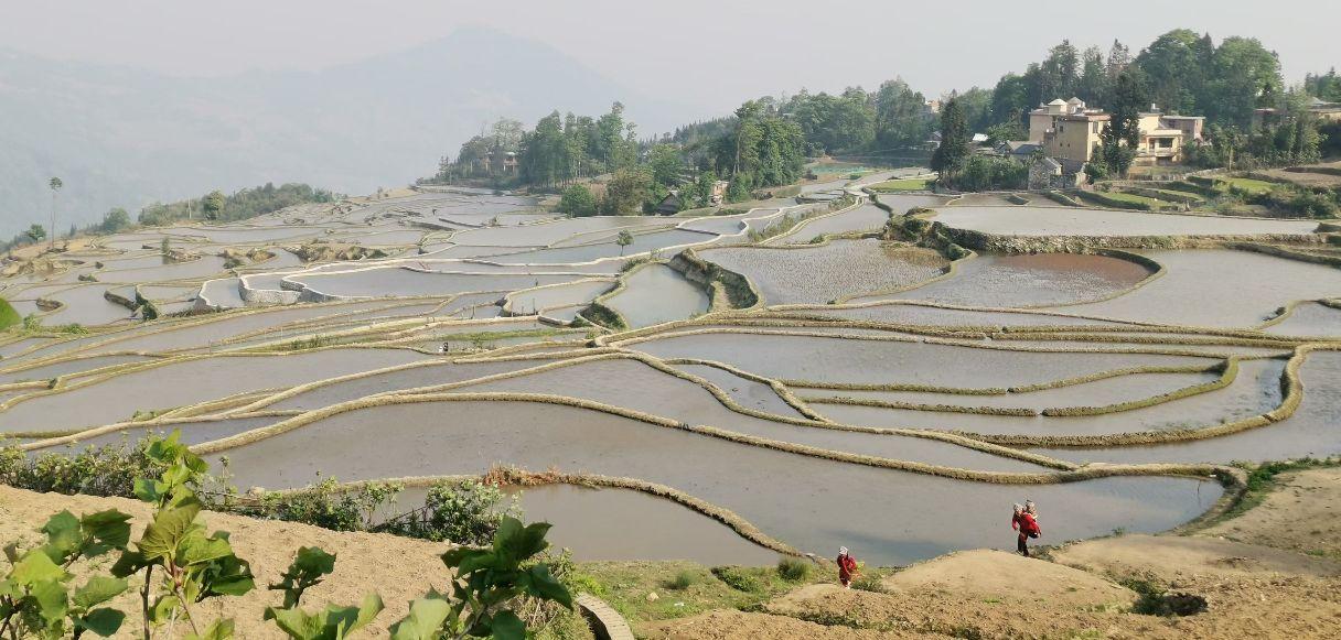 元阳梯田景区 - 星际高球联盟-中国精英人士高尔夫旅游度假实景