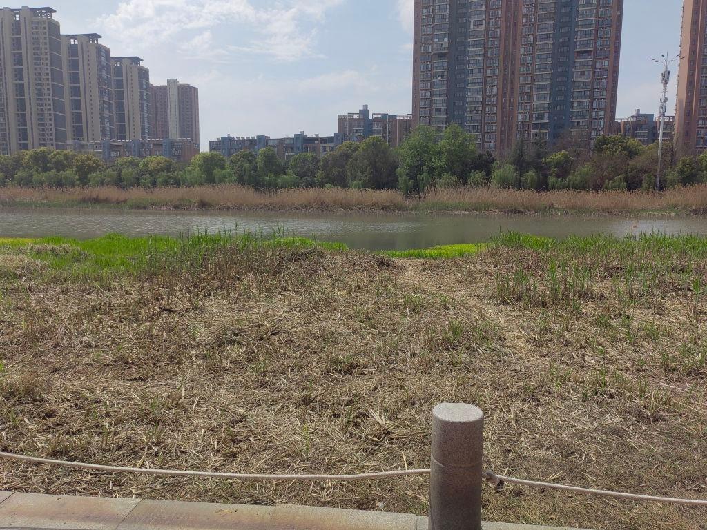 荆襄河湿地公园 - 星际高球联盟-中国精英人士高尔夫旅游度假实景