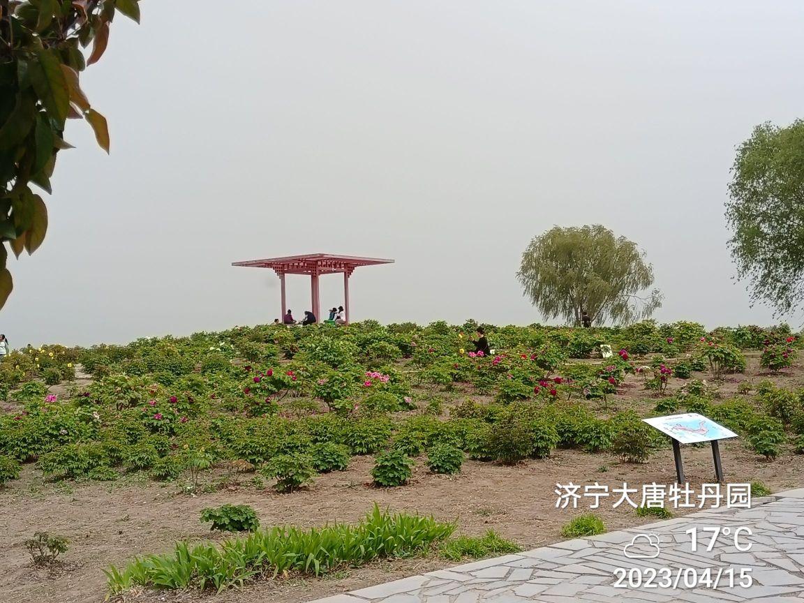 太白湖牡丹园 - 星际高球联盟-中国精英人士高尔夫旅游度假实景