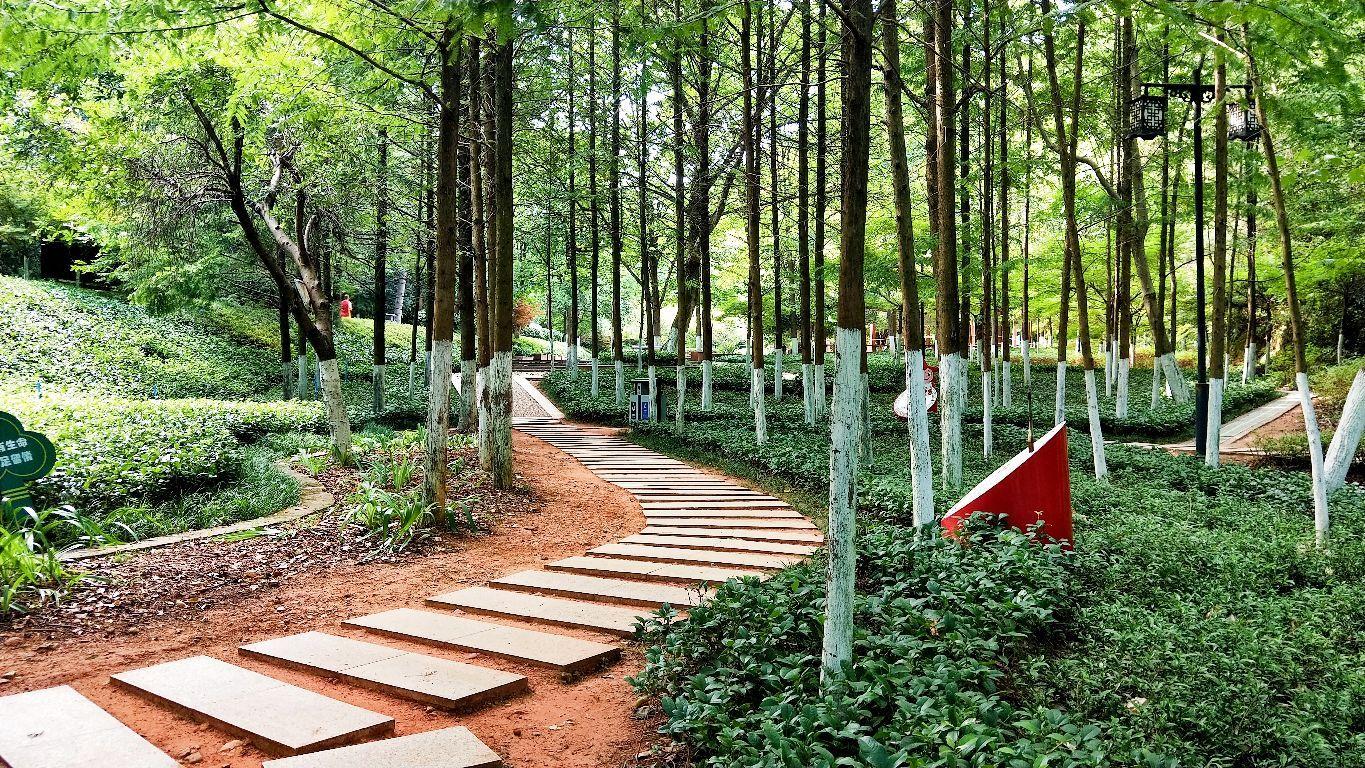 迎丰公园 - 星际高球联盟-中国精英人士高尔夫旅游度假实景