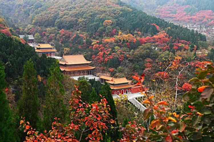 云台寺 - 星际高球联盟-中国精英人士高尔夫旅游度假实景