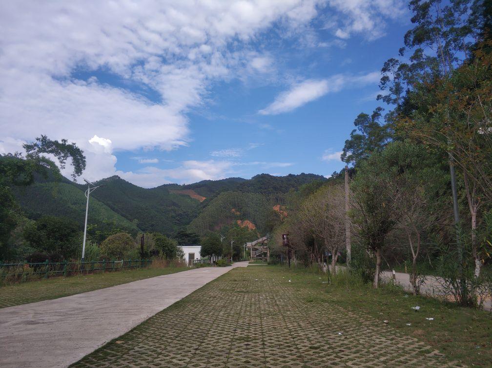 月湾茶园景区 - 星际高球联盟-中国精英人士高尔夫旅游度假实景