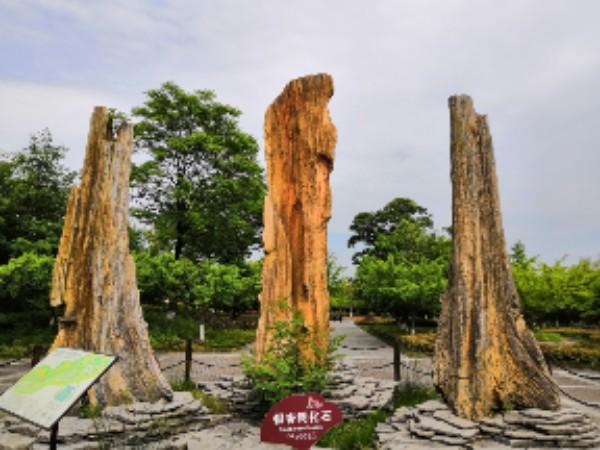 金钉子国家地质公园 - 星际高球联盟-中国精英人士高尔夫旅游度假实景