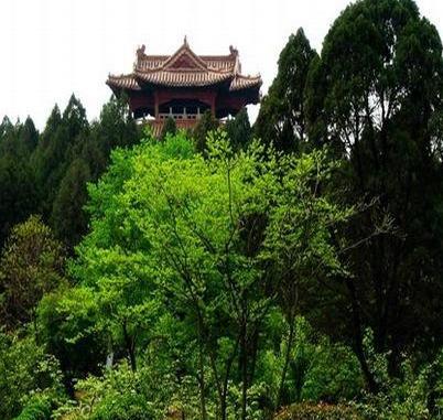 云龙山(森林公园) - 星际高球联盟-中国精英人士高尔夫旅游度假实景