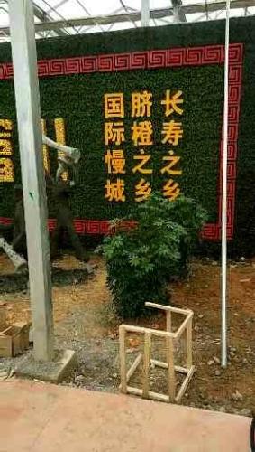 富川县生态高值农业科技示范园 - 星际高球联盟-中国精英人士高尔夫旅游度假实景