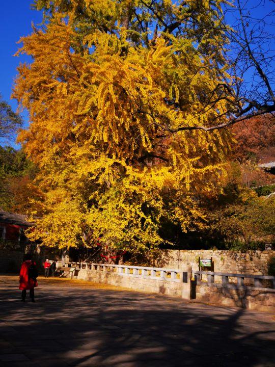 玉泉寺 - 星际高球联盟-中国精英人士高尔夫旅游度假实景