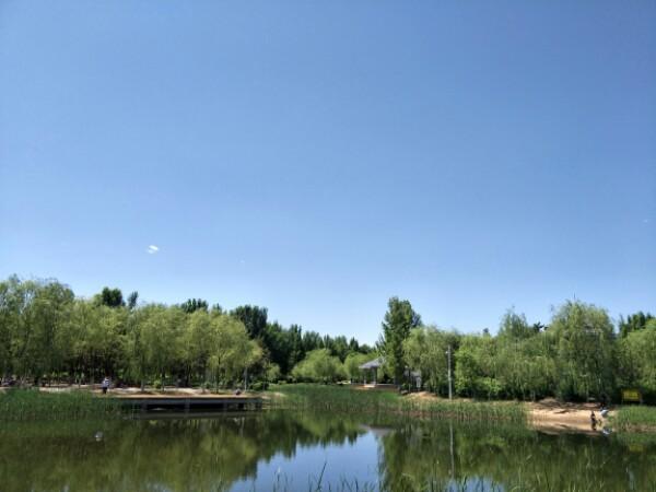 扎达盖公园 - 星际高球联盟-中国精英人士高尔夫旅游度假实景