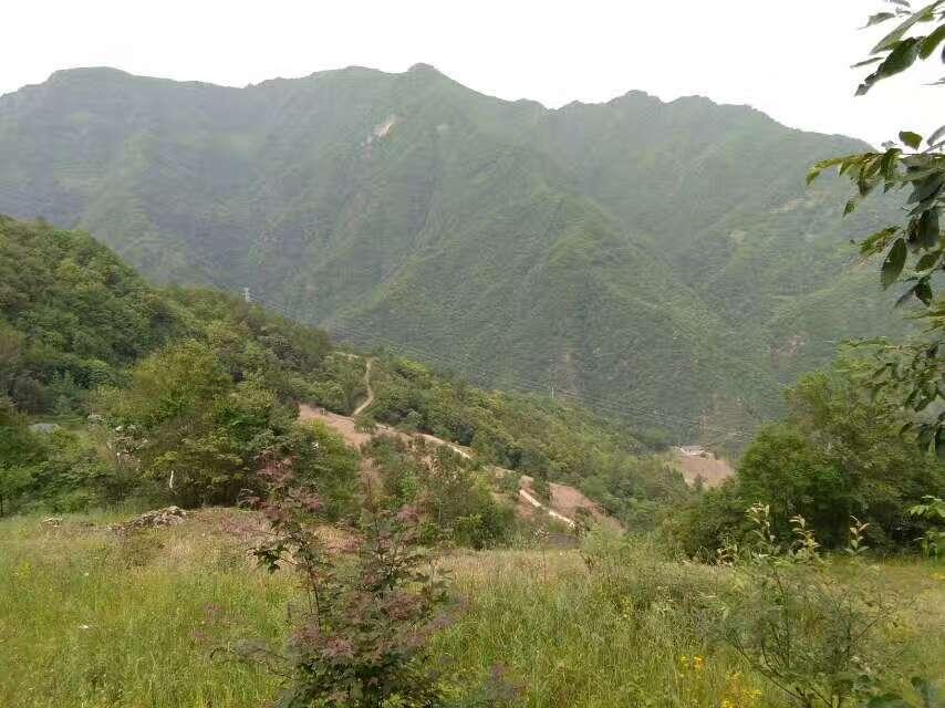 利济文化公园 - 星际高球联盟-中国精英人士高尔夫旅游度假实景