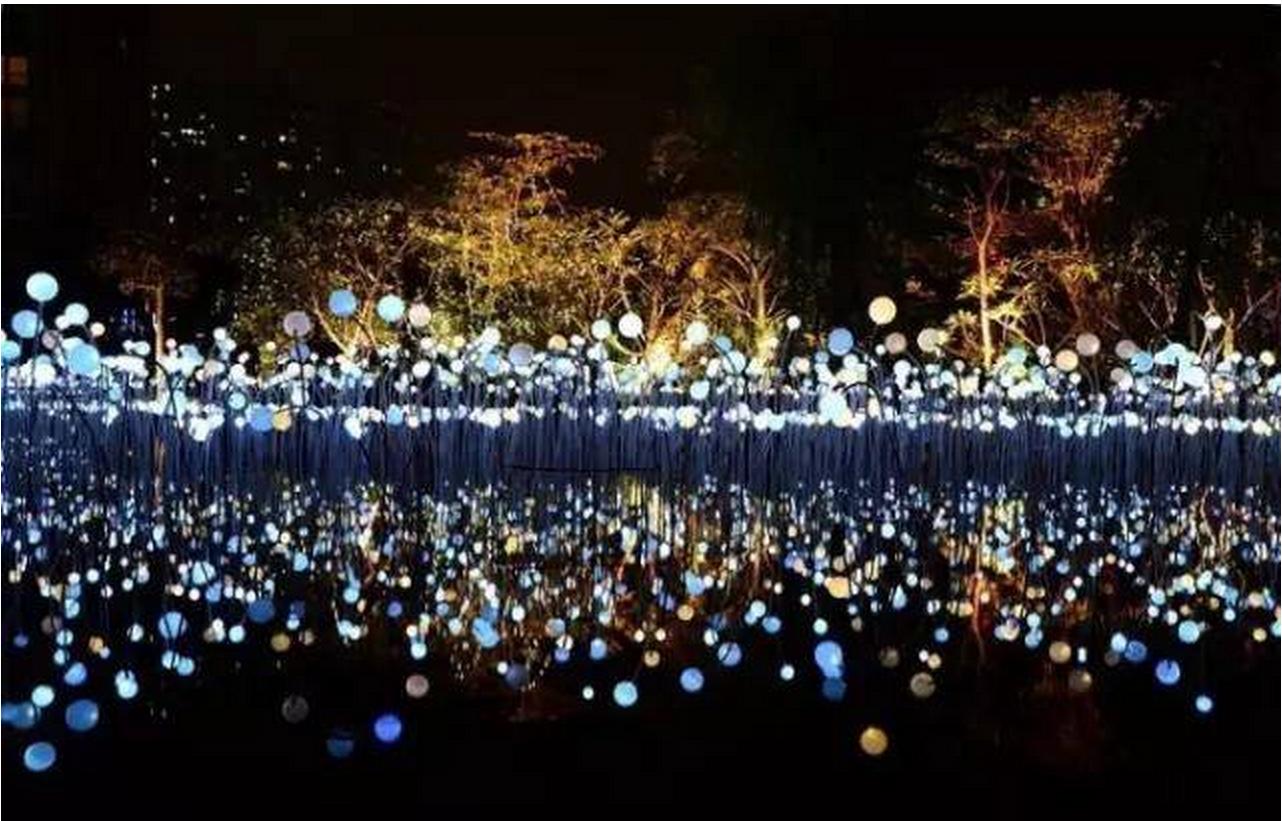 兖州区新兖镇牛楼花海彩田景区 - 星际高球联盟-中国精英人士高尔夫旅游度假实景