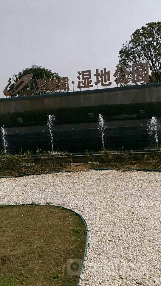 碧桂园湿地公园 - 星际高球联盟-中国精英人士高尔夫旅游度假实景