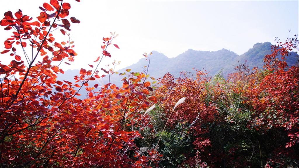 神农山风景区 - 星际高球联盟-中国精英人士高尔夫旅游度假实景