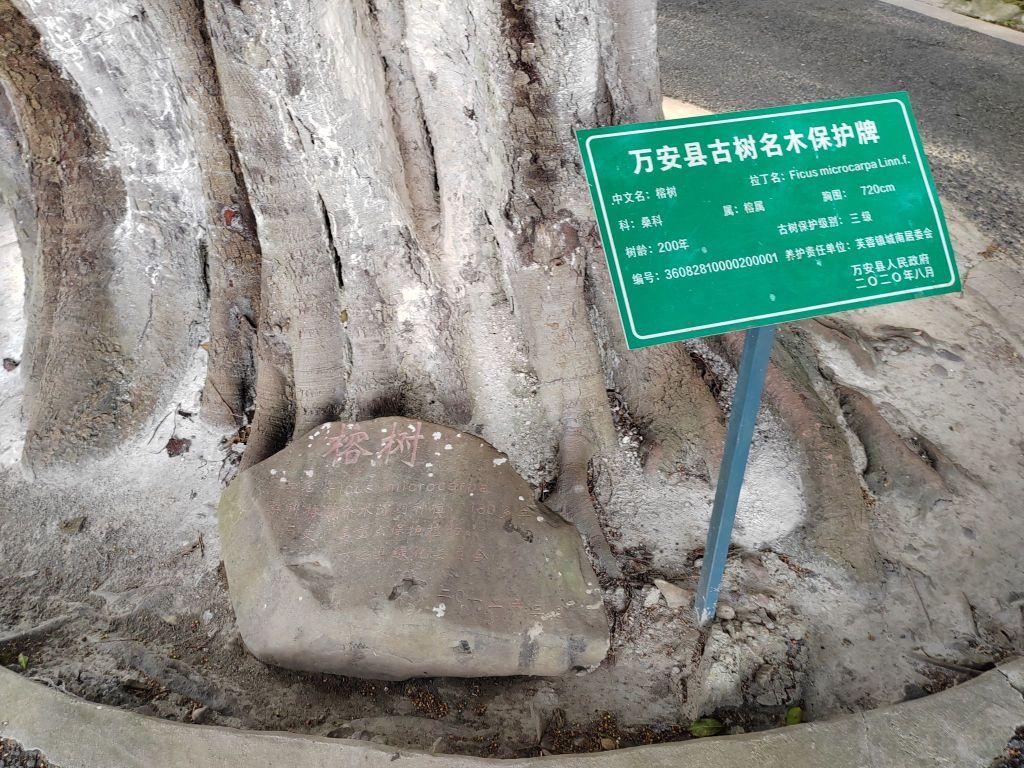 万安县古城墙 - 星际高球联盟-中国精英人士高尔夫旅游度假实景