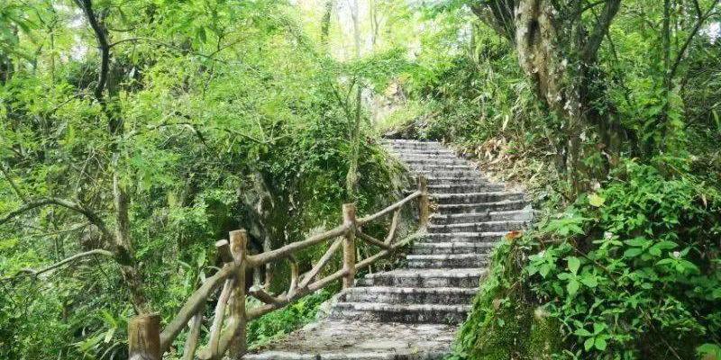 富川白面寨金丝楠木林 - 星际高球联盟-中国精英人士高尔夫旅游度假实景