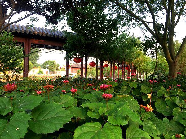 麓苑公园 - 星际高球联盟-中国精英人士高尔夫旅游度假实景