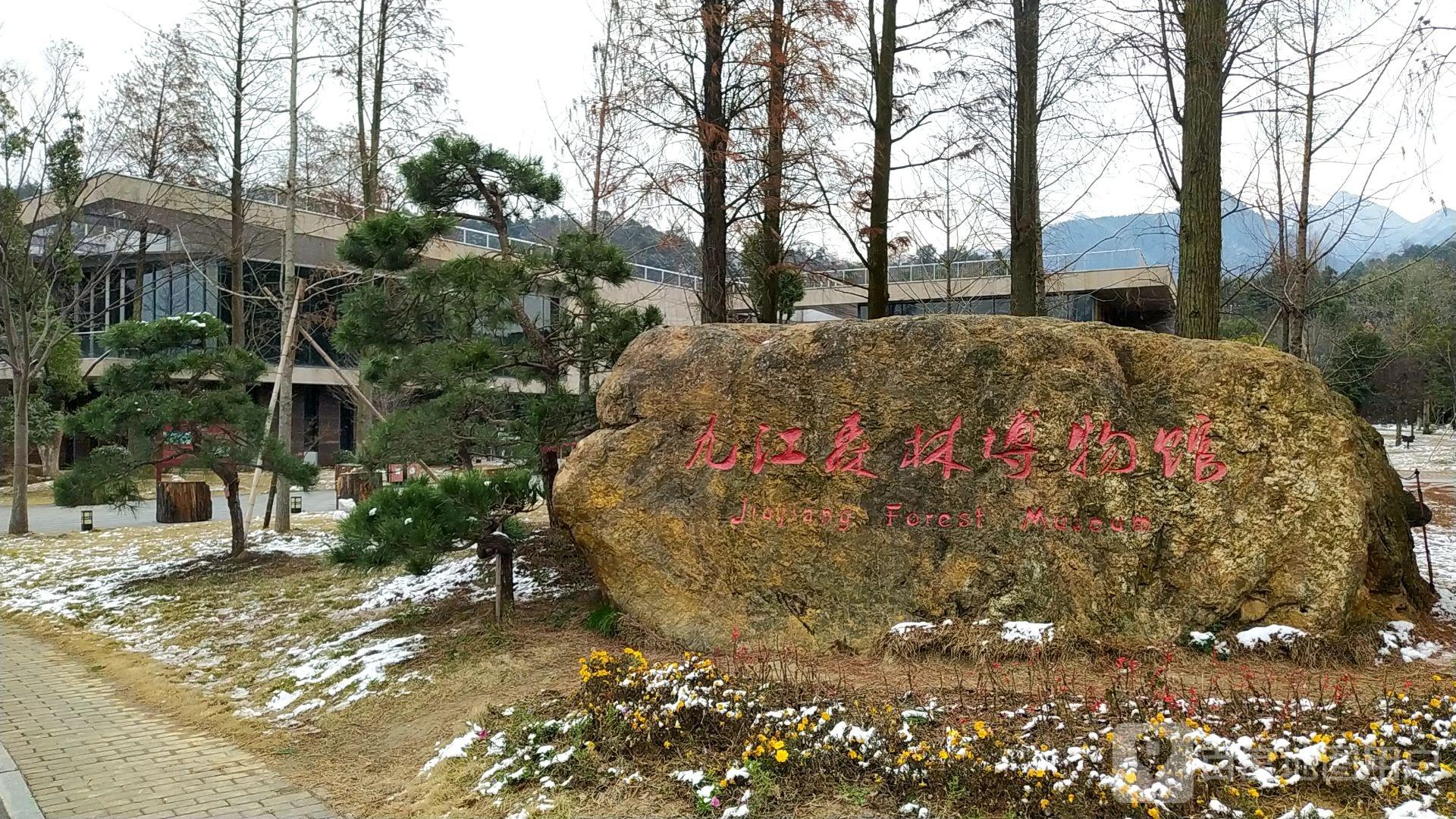 九江市森林博物馆 - 星际高球联盟-中国精英人士高尔夫旅游度假实景