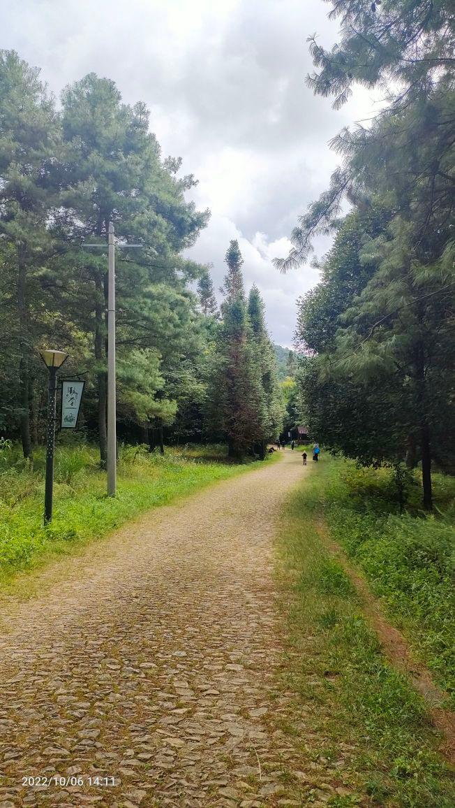 戈贾森林公园 - 星际高球联盟-中国精英人士高尔夫旅游度假实景