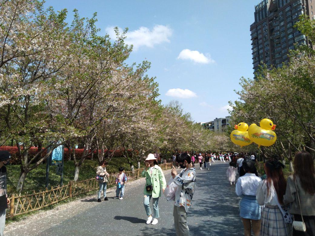 金华国际友城公园 - 星际高球联盟-中国精英人士高尔夫旅游度假实景