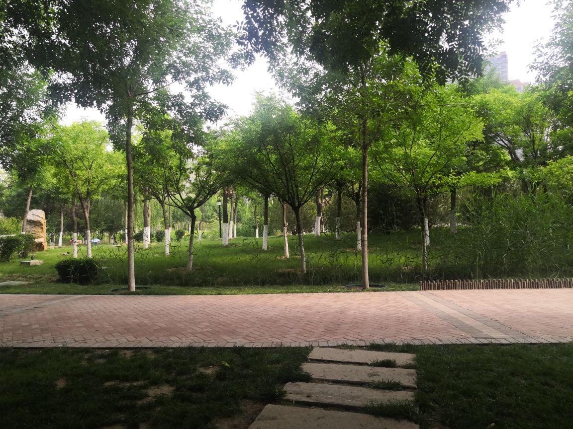 张店公园 - 星际高球联盟-中国精英人士高尔夫旅游度假实景