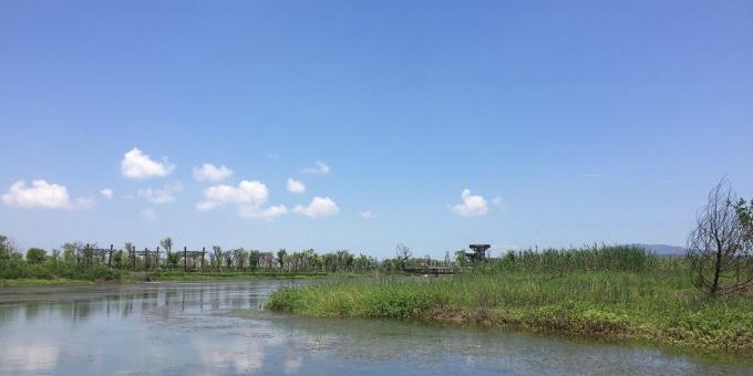 芒洲湿地 - 星际高球联盟-中国精英人士高尔夫旅游度假实景