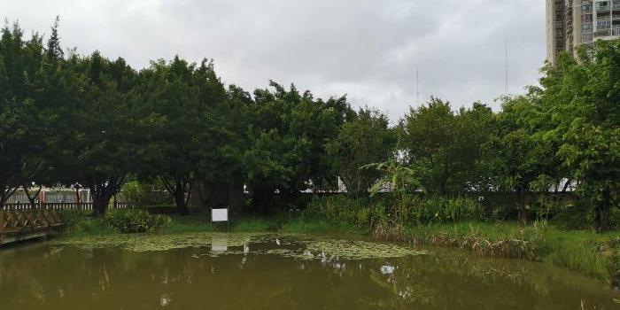 集友公园 - 星际高球联盟-中国精英人士高尔夫旅游度假实景