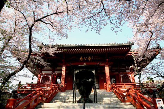 净心寺 - 星际高球联盟-中国精英人士高尔夫旅游度假实景
