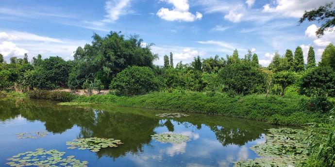 接霞庄 - 星际高球联盟-中国精英人士高尔夫旅游度假实景