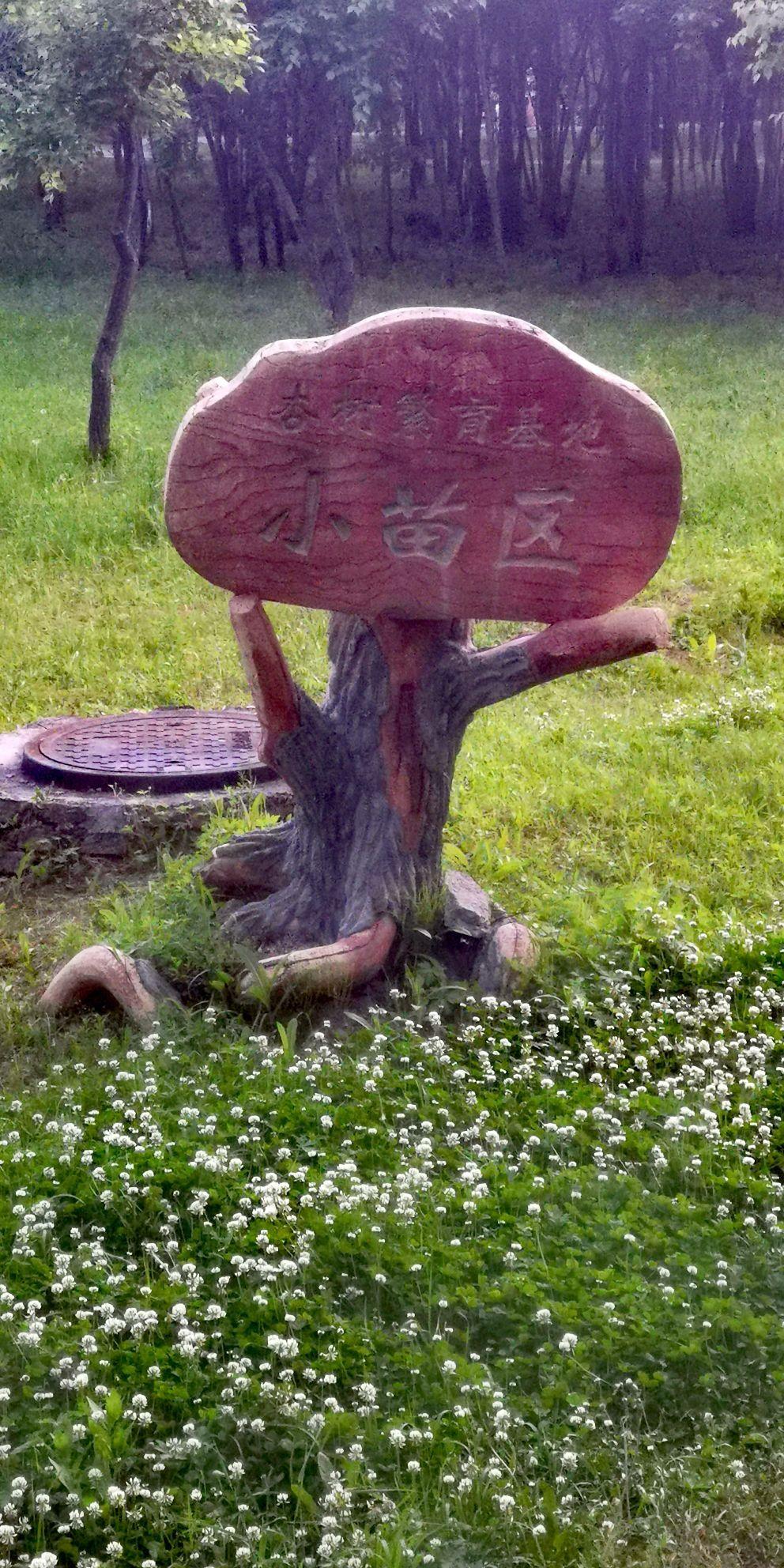 西浦植物园 - 星际高球联盟-中国精英人士高尔夫旅游度假实景