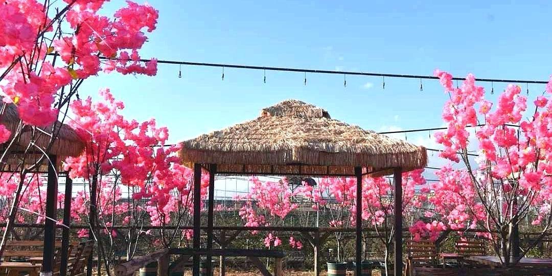 昭通月季谷 - 星际高球联盟-中国精英人士高尔夫旅游度假实景