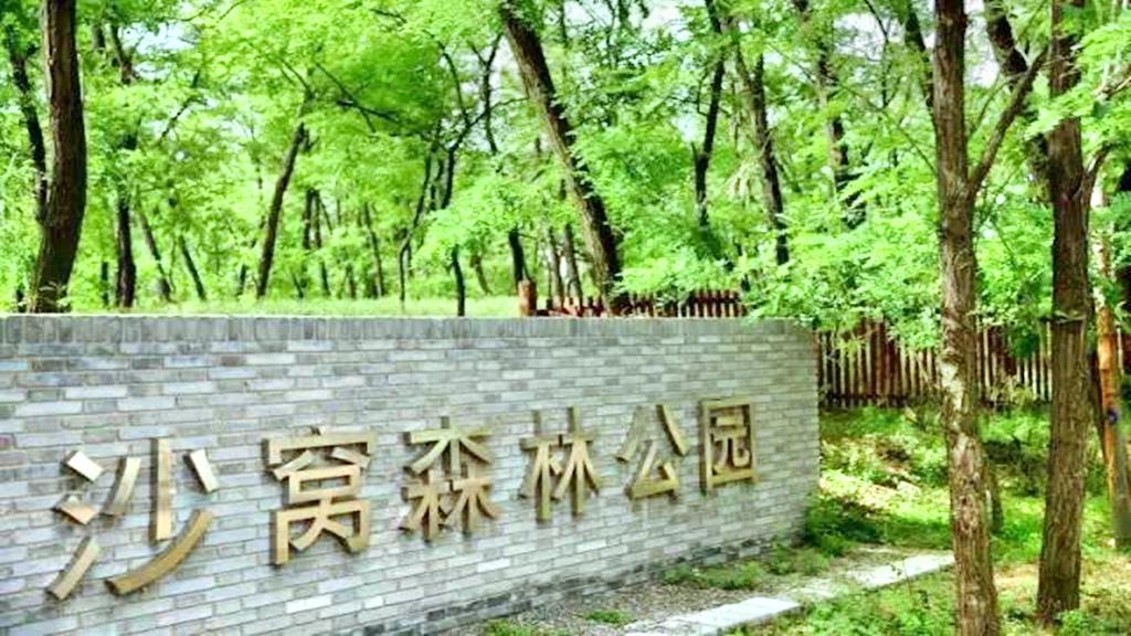 沙窝森林世界 - 星际高球联盟-中国精英人士高尔夫旅游度假实景