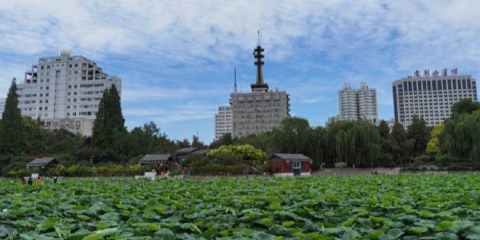 紫荆山公园 - 星际高球联盟-中国精英人士高尔夫旅游度假实景