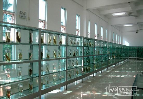 水生生物博物馆 - 星际高球联盟-中国精英人士高尔夫旅游度假实景