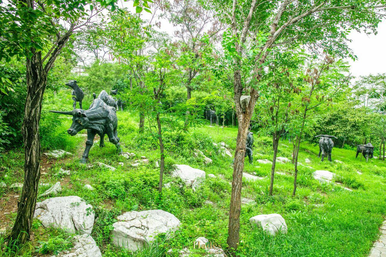 原山国家森林公园 - 星际高球联盟-中国精英人士高尔夫旅游度假实景