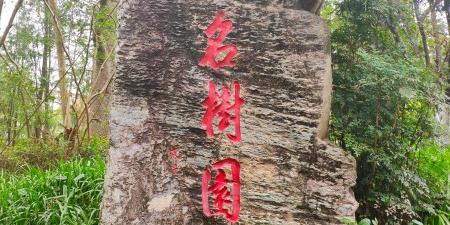 名树园 - 星际高球联盟-中国精英人士高尔夫旅游度假实景