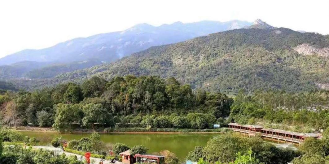 清水湖 - 星际高球联盟-中国精英人士高尔夫旅游度假实景