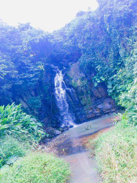 九龙山红树林国家湿地公园 - 星际高球联盟-中国精英人士高尔夫旅游度假实景