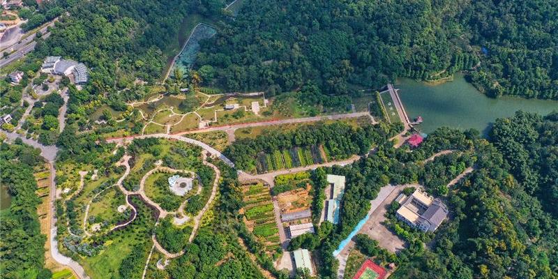 中山市树木园 - 星际高球联盟-中国精英人士高尔夫旅游度假实景