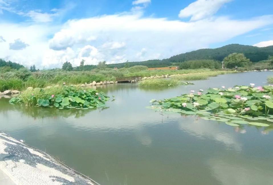 佳木斯郊区大来岗风景区达勒花海 - 星际高球联盟-中国精英人士高尔夫旅游度假实景