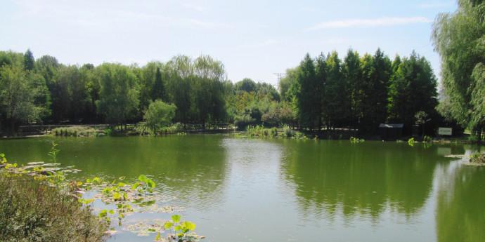 郑州植物园 - 星际高球联盟-中国精英人士高尔夫旅游度假实景