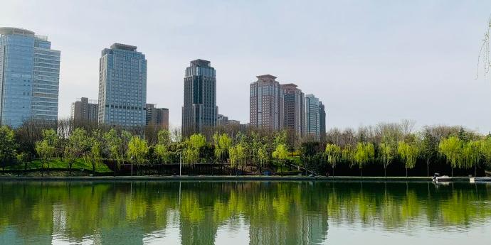 郑州之林 - 星际高球联盟-中国精英人士高尔夫旅游度假实景