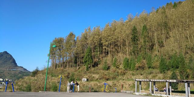 凤翅山森林公园 - 星际高球联盟-中国精英人士高尔夫旅游度假实景