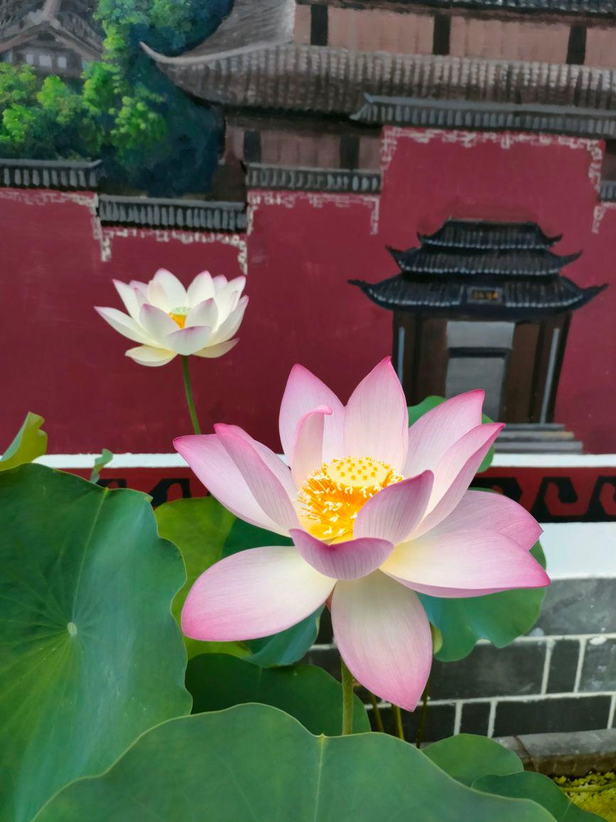 张家界土司王府 - 星际高球联盟-中国精英人士高尔夫旅游度假实景