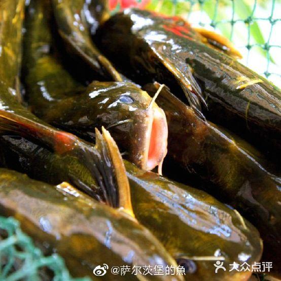 鱼品天下自助鱼火锅 - 星际高球联盟-中国精英人士高尔夫旅游度假实景