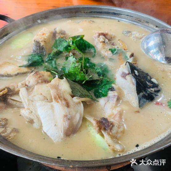 焦滩大树下鱼头馆(焦滩店) - 星际高球联盟-中国精英人士高尔夫旅游度假实景