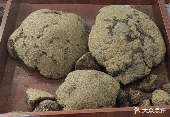 帕米尔高原餐厅 - 星际高球联盟-中国精英人士高尔夫旅游度假实景