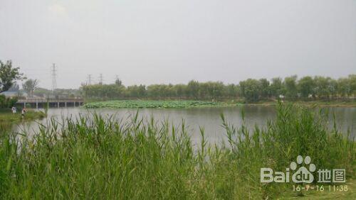 滕州市北辛公园 - 星际高球联盟-中国精英人士高尔夫旅游度假实景